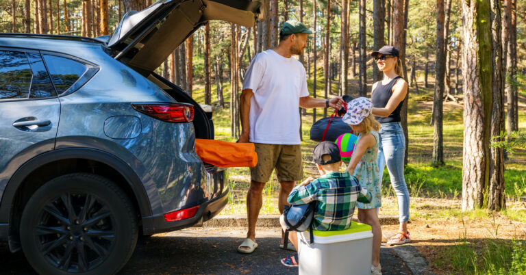 2025 Summer Travel InSights